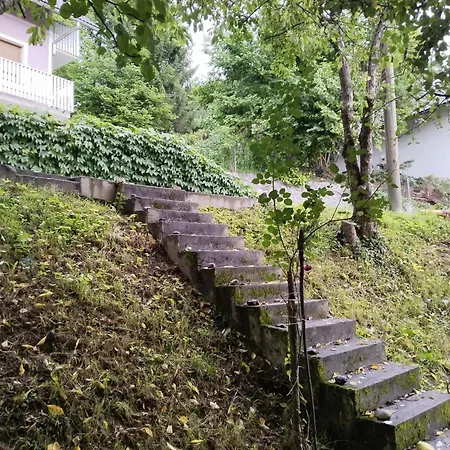 Near By Capital Of Slovenia *